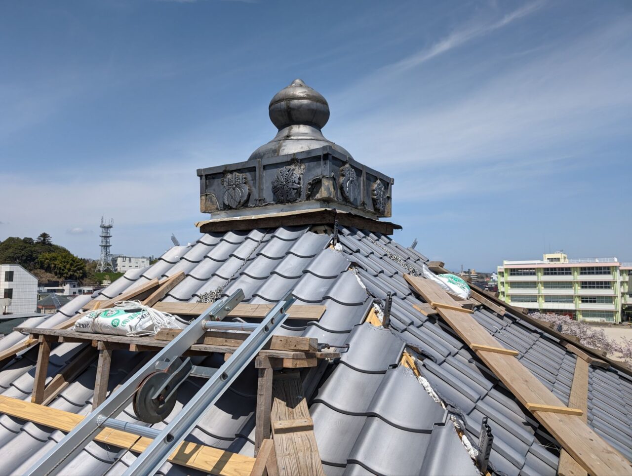 pxl_20240413_01530904952259945